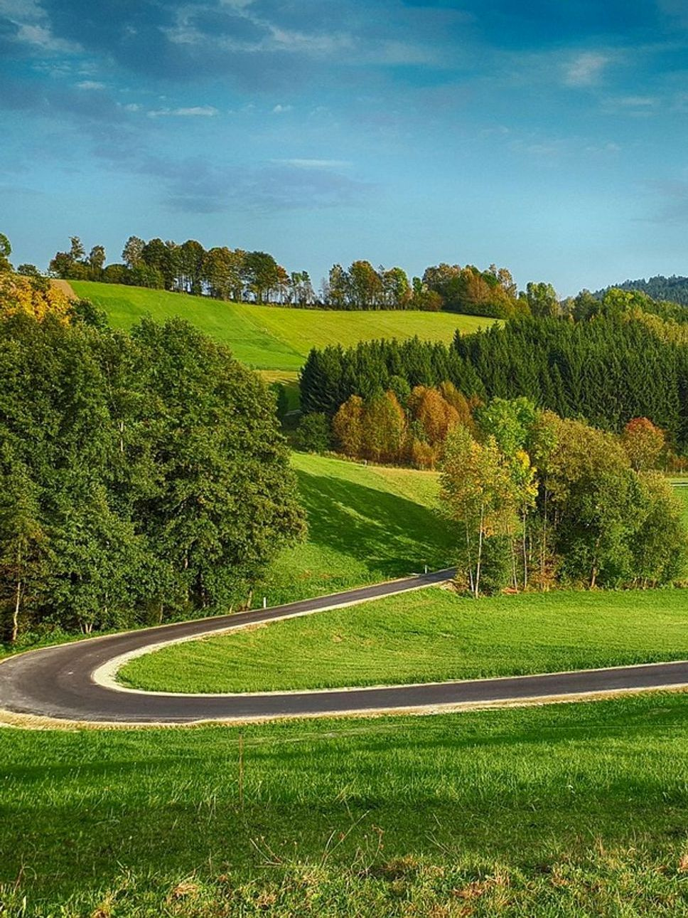 La Canasta de Ruta